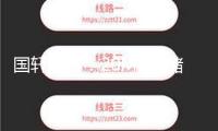 國軒高科：20MWh儲(chǔ)能電池體系獲3GWh訂單