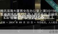 四川攀西電網(wǎng)優(yōu)化改造工程全面建成投運(yùn)