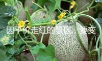 因平價(jià)走紅的景區(qū)，要變短期熱度為長時(shí)間諾言