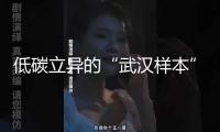 低碳立異的“武漢樣本”，全國大學(xué)生社會(huì)實(shí)踐團(tuán)走進(jìn)亞洲最大低溫酸奶工廠