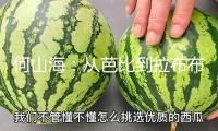何山海：從芭比到拉布布，今日怎么講故事