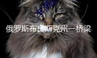 俄羅斯布良斯克州一橋梁崩塌 已致數(shù)十人傷亡