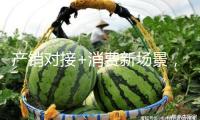 產(chǎn)銷對接+消費新場景，廣州“助荔”舉動讓荔枝從枝頭甜到舌頭