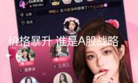 價格暴升 誰是A股戰(zhàn)略金屬之王？（附名單）