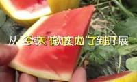 從區(qū)域“軟實(shí)力”到開(kāi)展“硬支撐” 長(zhǎng)三角聚力協(xié)同激活開(kāi)展“動(dòng)力源”