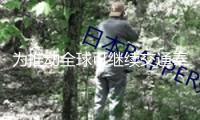 為推動全球可繼續(xù)交通奉獻新才智新力量——我國可繼續(xù)交通開展掃描