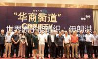 世界原子能組織：伊朗洪達(dá)卜重水反應(yīng)堆遭襲 無放射性影響