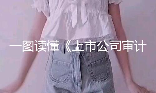 【黑料網(wǎng)視頻】一圖讀懂《上市公司審計(jì)委員會(huì)作業(yè)指引》