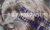 一個容易得脂肪肝的習氣，你或許天天在重復