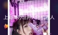 上海舉辦世界人形機器人技術(shù)大賽