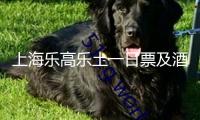 上海樂高樂土一日票及酒店今天開售 開園首日規(guī)范票549元