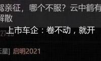 上市車企：卷不動，就開整！