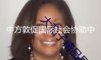 中方敦促國際社會協(xié)助中部非洲國家遏止安全要挾