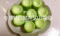 中核鈦白拋棄50萬噸磷酸鐵項目 鋰業(yè)產(chǎn)能替換出清跨界企業(yè)先行離場
