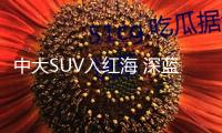 中大SUV入紅海 深藍鄧承浩：入局晚了但方針比例20%~30%