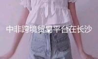 中非跨境貿(mào)易平臺在長沙經(jīng)開區(qū)啟動運營 阿里巴巴、亞馬遜同期落戶