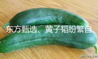 東方甄選、黃子韜紛繁自建品牌做衛(wèi)生巾，能否處理安全焦慮？