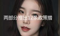 兩部分推出12條政策措施 深化兩岸金融范疇交融開展