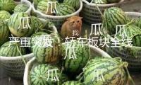 嚴重突發(fā)！轎車板塊全線跌落 發(fā)生了什么？