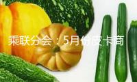 乘聯(lián)分會(huì)：5月份皮卡商場(chǎng)出售5.2萬(wàn)輛，同比增13.6%