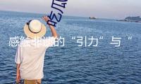 感觸非遺的“引力”與“張力”