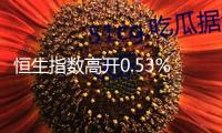恒生指數高開0.53% 恒生科技指數漲0.54%