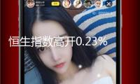 恒生指數(shù)高開0.23% 恒生科技指數(shù)漲0.3%