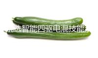 挑選智能四驅(qū)電混技能系統(tǒng) 長城汽車回答“為何不做增程”