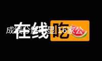 成績分解明顯 16家公司首先“透底”半年報