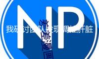 我研討團(tuán)隊(duì)發(fā)現(xiàn)調(diào)控肝臟穩(wěn)態(tài)的匯管區(qū)巨噬細(xì)胞新亞群