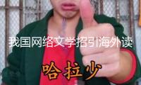 我國(guó)網(wǎng)絡(luò)文學(xué)招引海外讀者群