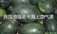 我國渤海最大海上油氣渠道竣工起運