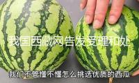 我國西藏網(wǎng)告發(fā)受理和處置管理辦法