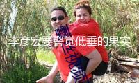 李彥宏要警覺低垂的果實