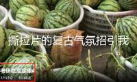 撕拉片的復古氣氛招引我國年輕人