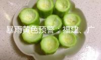 暴雨黃色預(yù)警：福建、廣東、廣西、海南等地部分地區(qū)有大到暴雨