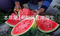 本年第1號(hào)颶風(fēng)在南海生成，國家防總針對(duì)廣東海南發(fā)動(dòng)防汛防颶風(fēng)四級(jí)應(yīng)急呼應(yīng)