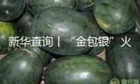 新華查詢丨“金包銀”火了，能定心“入”嗎？