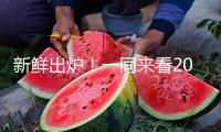 新鮮出爐！一同來(lái)看2025年高考語(yǔ)文作文題