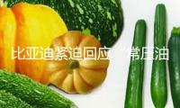 比亞迪緊迫回應(yīng)“常壓油箱”“車圈恒大”兩大爭議 車企高管密布發(fā)聲：對立 “內(nèi)卷式”競賽