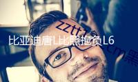 比亞迪唐L比照抱負(fù)L6，專屬奶爸應(yīng)該怎樣選？