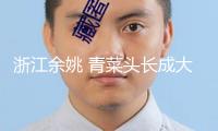 浙江余姚 青菜頭長(zhǎng)成大工業(yè)