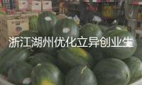 浙江湖州優(yōu)化立異創(chuàng)業(yè)生態(tài)—— 人才與城市雙向奔赴