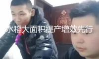 水稻大面積提產(chǎn)增效先行試點(diǎn)初見成效 安徽廣德示范區(qū)估計(jì)增產(chǎn)10%以上