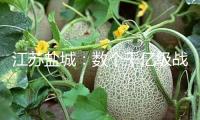 江蘇鹽城：數(shù)個(gè)千億級(jí)戰(zhàn)略性新興產(chǎn)業(yè)何故煉成