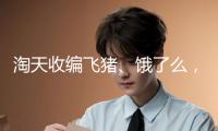 淘天收編飛豬、餓了么，馬云、王興、劉強東異曲同工