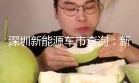 深圳新能源車市查詢：新車火爆 二手遇冷