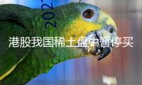 港股我國(guó)稀土盤中暫停買賣