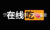 寧波泥金彩漆：漆彩鎏金 匠心鑄魂
