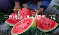 寧夏銀川：科技項目“精準(zhǔn)滴灌” 助葡萄酒工業(yè)“科技提質(zhì)”